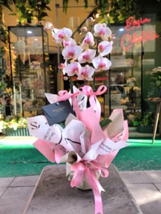 Çift dal pembe orkide