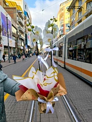 2 Dallı Şık Beyaz Orkide