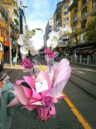 Beyaz çift dal orkide